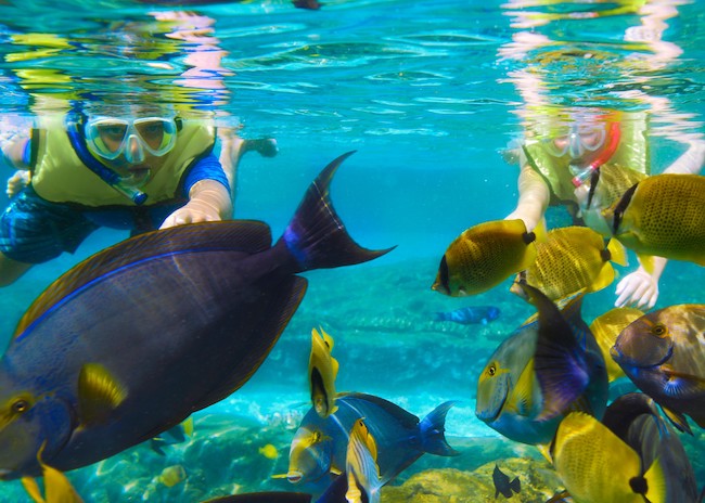 Bettie and her party very excited watching the marine life during their snorkeling tour in Cozumel.