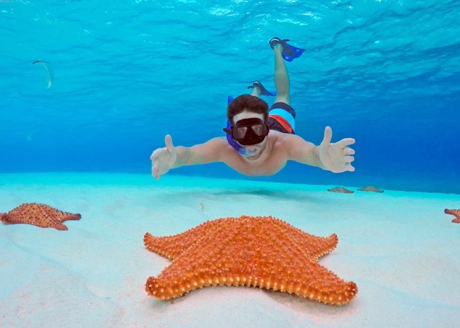 Russell happy to see so many starfish in El Cielo.