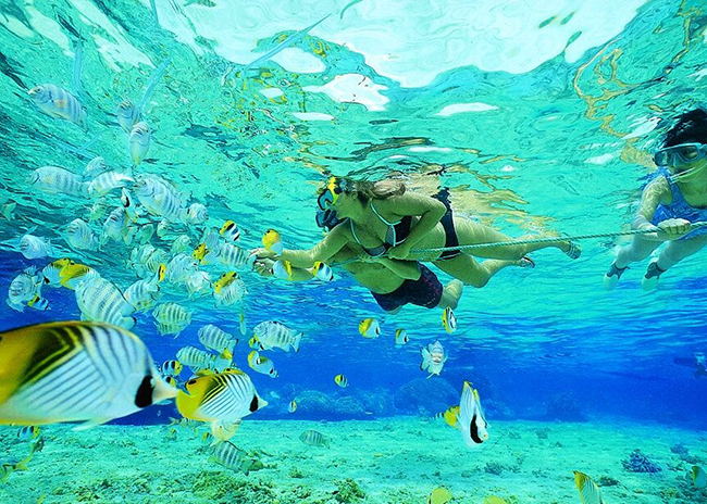 A couple enjoying a snorkeling tour.