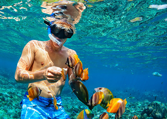 Leroy feeding fish while he snorkels above a coral reef in Cozumel.