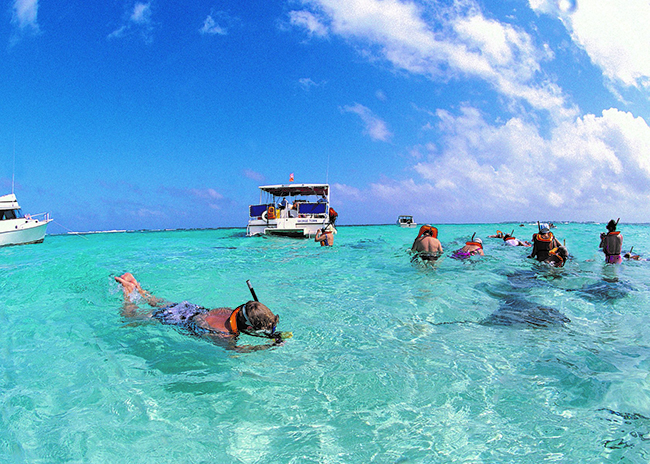 Carolyn and her party snorkeling in shallow waters and following the guide's instructions.