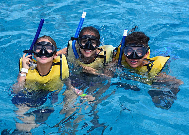 The three Carlson brothers swimming in the el cielo beach amazed by the sea life.