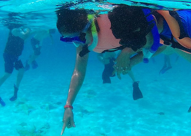 Jenna and her brother on the surface of the water seeing the fish.